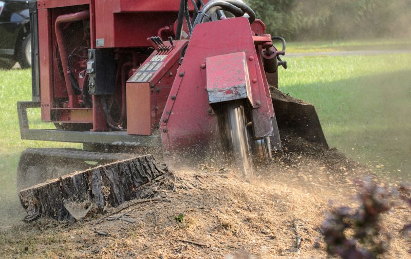 Stump Grinding Process