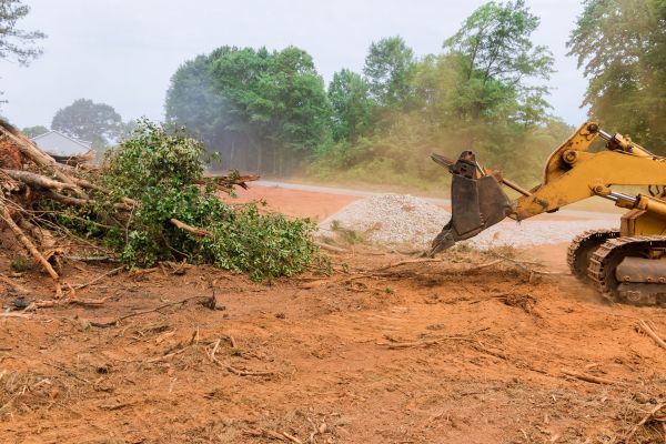 Ground Clearing in Jefferson City