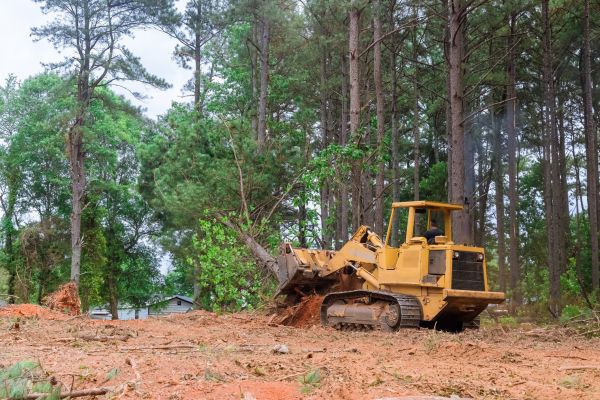 Trees Clearing in Jefferson City