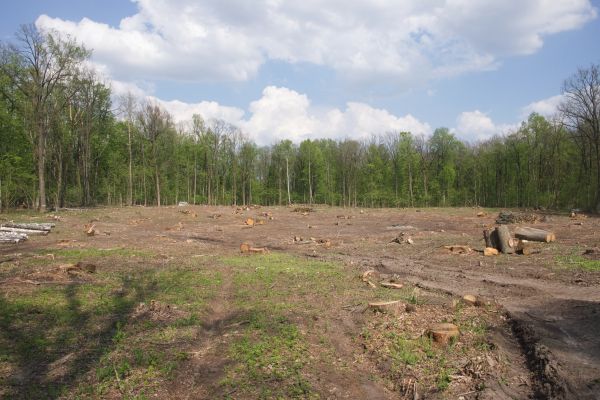 Cost of Pasture Clearing in Jefferson City