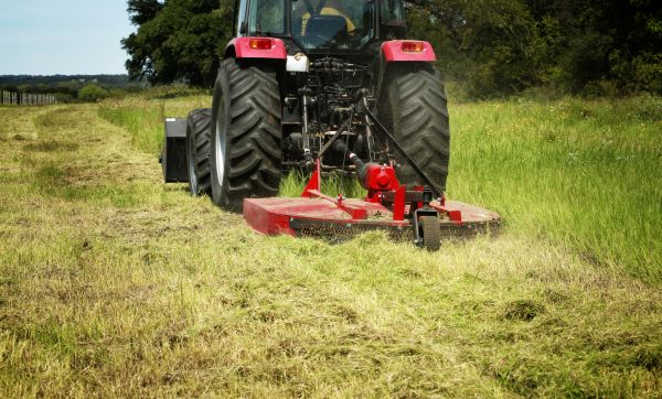 Brush Clearing Service in Jefferson City