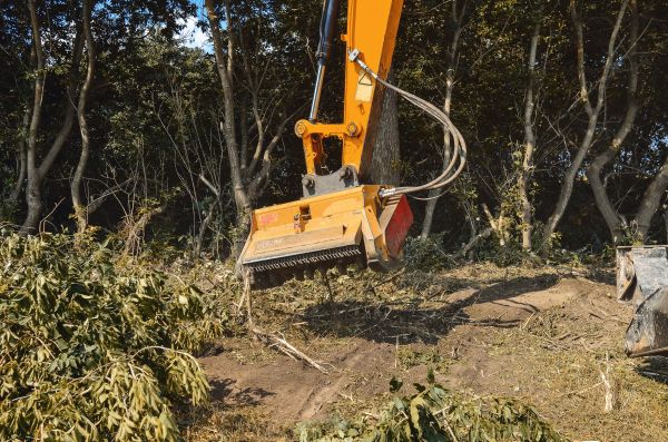 Brush Removal Service in Jefferson City