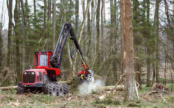 Cost of Forest Clearance Service in Jefferson City
