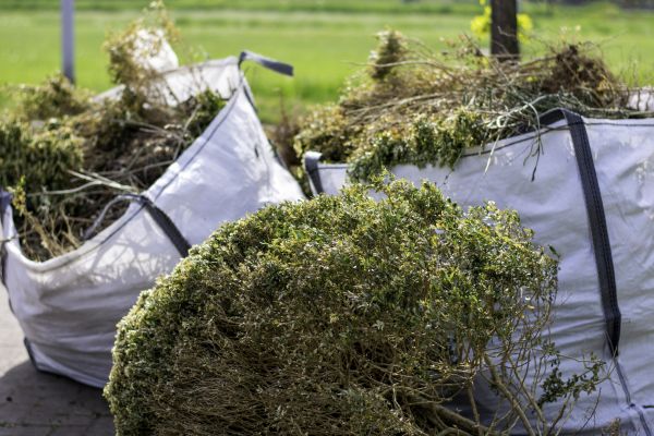 Cost of Bushes Clearing in Jefferson City