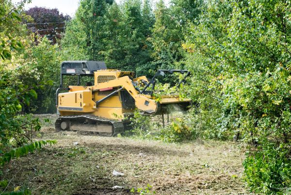 Cost of Pathway Clearing in Jefferson City