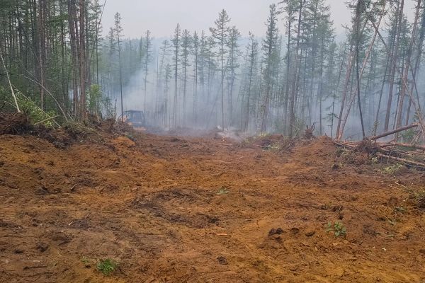 Cost of Hill Clearing in Jefferson City