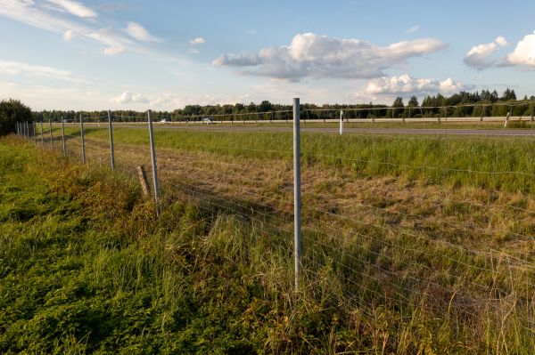 Cost of Property Line Clearing in Jefferson City