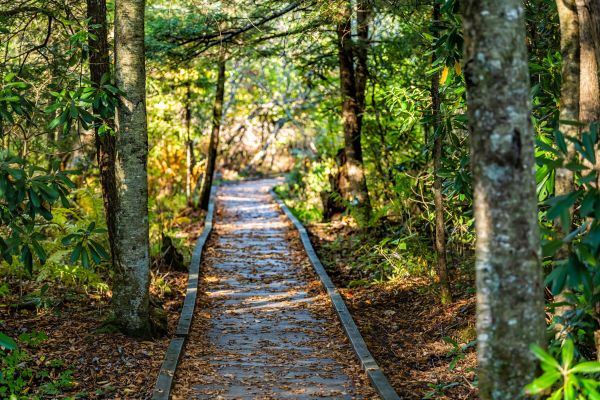 Cost of Trail Clearing in Jefferson City