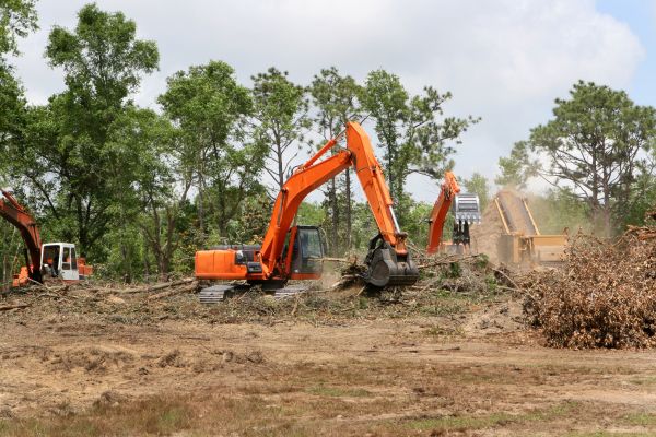 Cost of Commercial Lot Clearing in Jefferson City