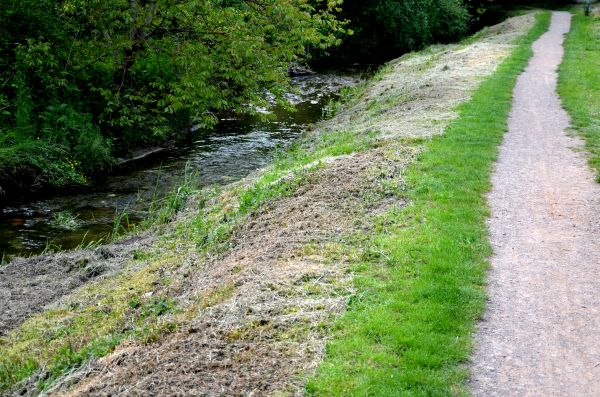 Cost of Trail Cutting in Jefferson City